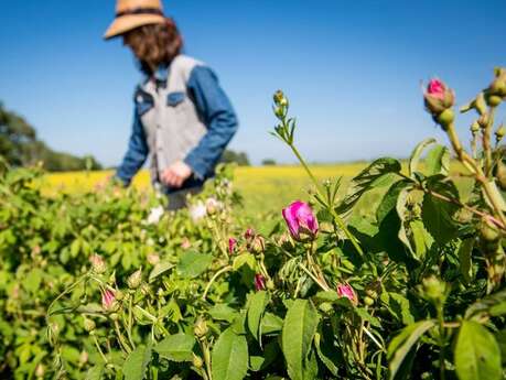 Les Jardins du Cabri
