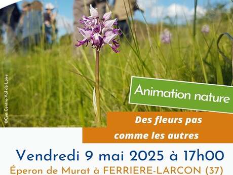 Des fleurs pas comme les autres
