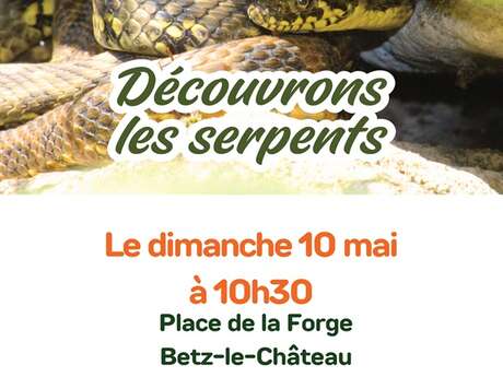 Découvrons les serpents