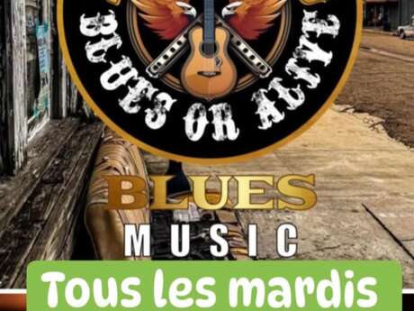 Soirée Blues Music Live au camping Olva
