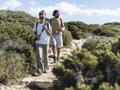 SORTIE BOTANIQUE : SUR LES PAS D'ULYSSE