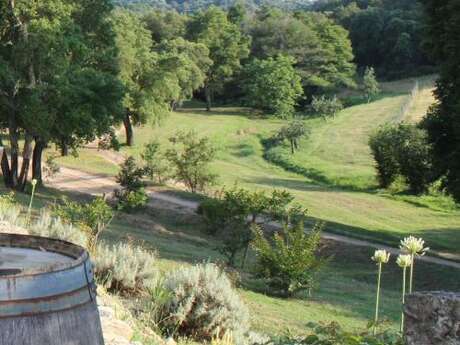 DOMAINE  KIESALE ABBATUCCI  AIR NATURELLE DE CAMPING