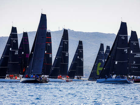 BONIFACIO CAPE 31 CUP