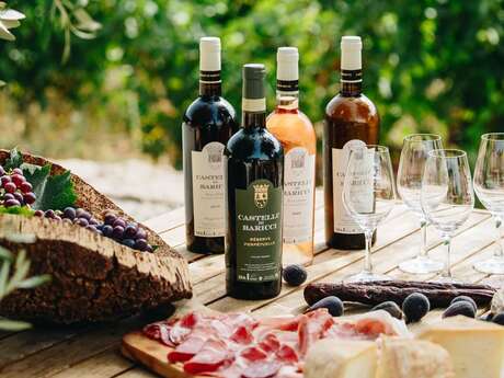 Visite oenologique au Domaine Castellu di Baricci
