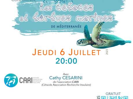 Conférence les cétacés et tortues Marines de Mediterranée