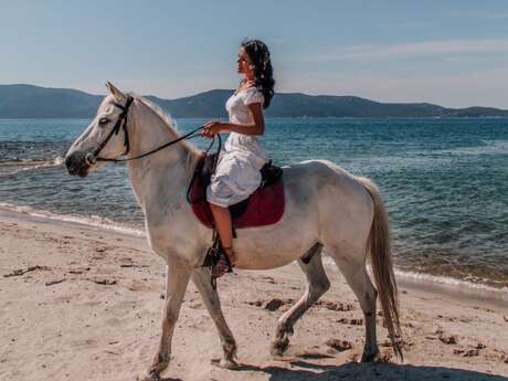 CENTRE EQUESTRE ECURIES LE GOLFE