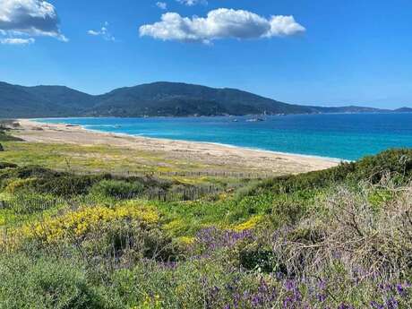 PLAGE DE CAPU LAUROSU