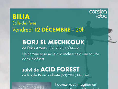Ciné-village à Bilia : Projection des films "Borj el mechkouk" et "Acid forest"