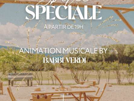 Soirée spéciale feu d'artifice avec animation musicale au camping chez Antoine Soirée spéciale feu d'artifice avec animation musicale au camping chez Antoine