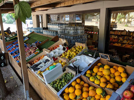 CHEZ LUCETTE ET FILS CAMPAGNE BONIFACIENNE