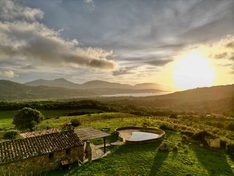 DOMAINE DE L'OGLIASTRU