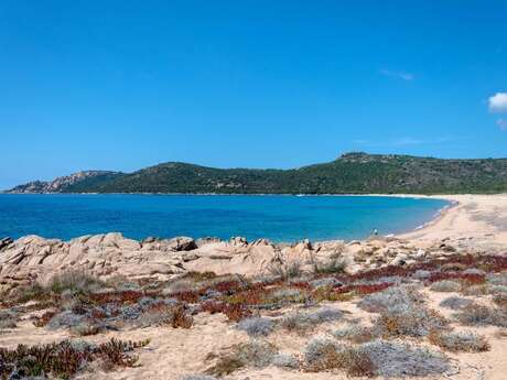 PLAGE DE TRADICETTU
