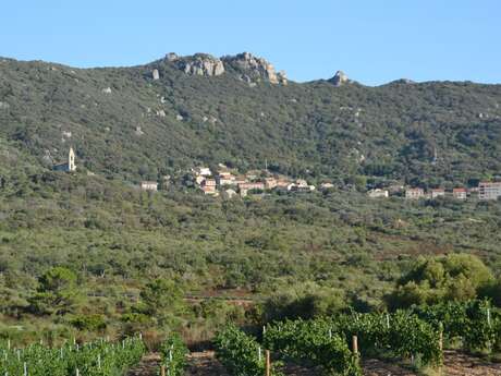 DOMAINE DE LA MURTA