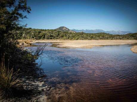 DÉCOUVERTE DE L'ESPACE NATUREL DE LA TESTA-VENTILÈGNE