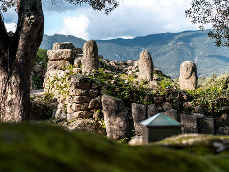 SITE DE FILITOSA