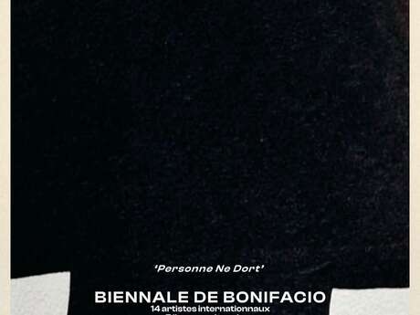 BIENNALE : NIMU DORMI - DE RENAVA