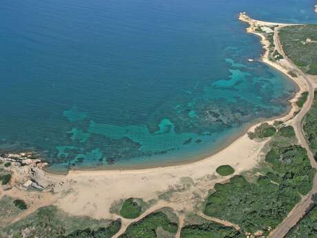 PLAGE DES TAMARIS