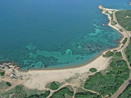 PLAGE DES TAMARIS