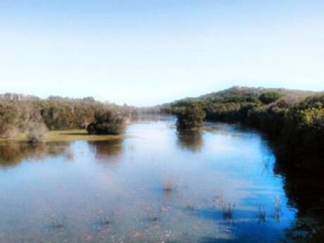 RESERVE NATURELLE DES TRE PADULE DE SUARTONE