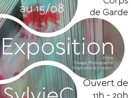 EXPOSITION DE L'ARTISTE PLASTICIENNE SYLVIE COLLU