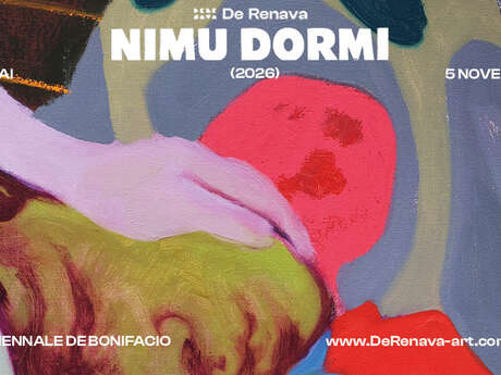 BIENNALE : NIMU DORMI - DE RENAVA