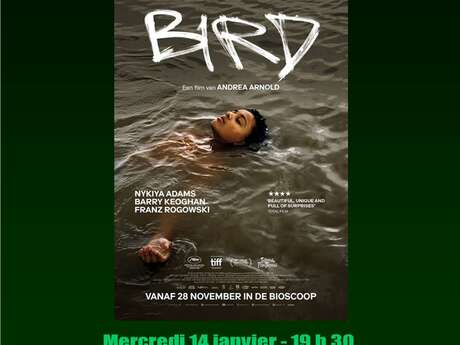 Ciné-Club au Lycée Agricole de Sartène - Bird à l'affiche
