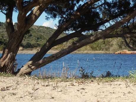 DÉCOUVERTE DE L'ESPACE NATUREL DE LA RONDINARA