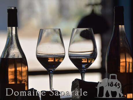 DOMAINE SAPARALE