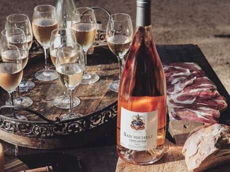 Visite oenologique au domaine San Micheli