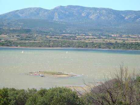 MEUBLÉ DE TOURISME - Studio-caverne dans propriété sécurisée