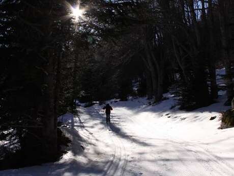 Nordic skiing in Mijanès-Donezan