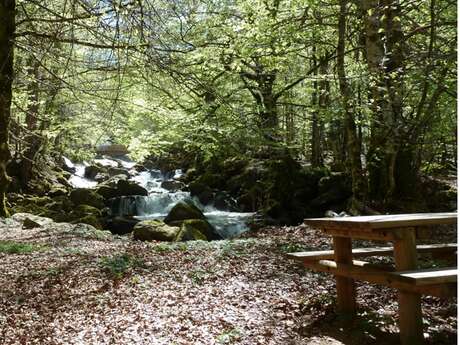 Aires de pique-nique des Pyrénées Ariégeoises