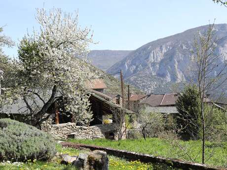 Larnat