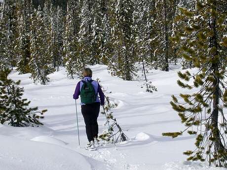 MONTCALM AVENTURE - RAQUETAS DE NIEVE