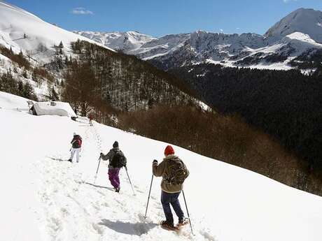 Snowshoeing in Ascou