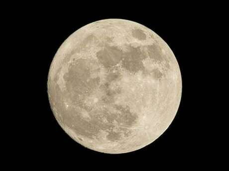 Observation de la lune avec Arborescence