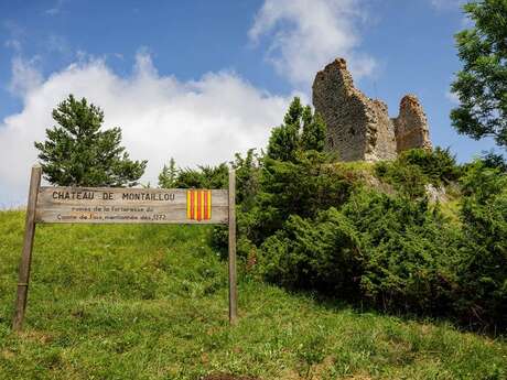 Château de Montaillou Château de Montaillou