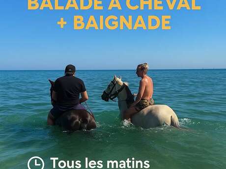 Balade à cheval + baignade au Ranch Desperado