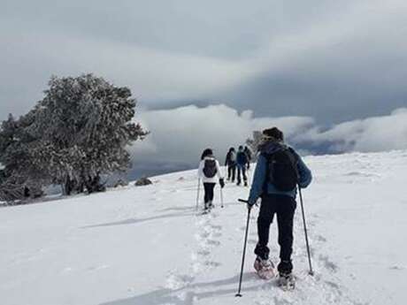 All-Azimut snowshoeing with Les Sentiers de Babeth All-Azimut snowshoeing with Les Sentiers de Babeth