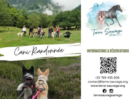 Cani-randonnée avec Terre sauvage