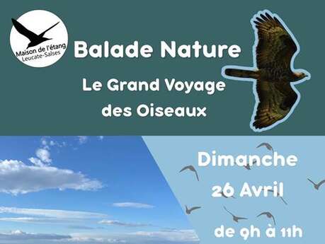 Balades Nature avec la Maison de l'Etang