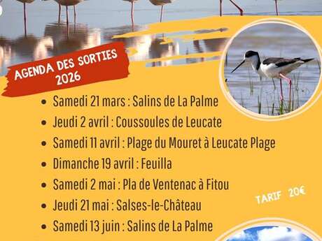 Sortie Nature avec La Nature du Sud