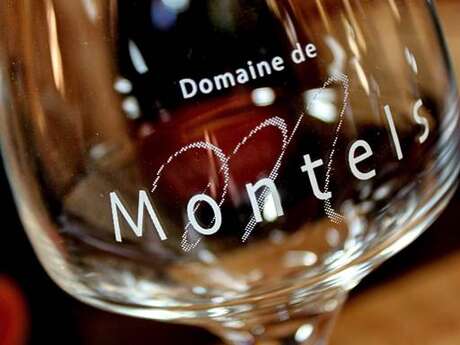 Le Domaine de Montels Le Domaine de Montels