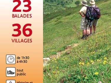 Caminatas y Paseos por el día