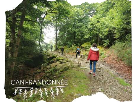Cani-randonnée avec Terre sauvage Cani-randonnée avec Terre sauvage