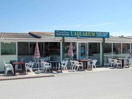 Producteur d'huîtres - Franck CASTILLON - L'Aquarium