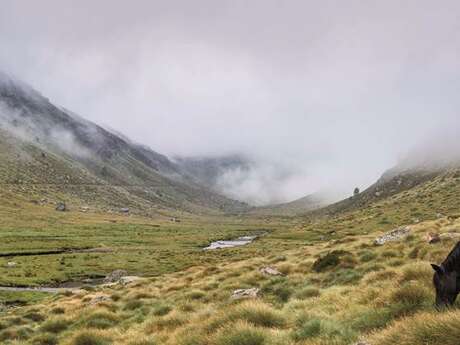 Le Parc Naturel Régional des Pyrénées Ariégeoises Le Parc Naturel Régional des Pyrénées Ariégeoises