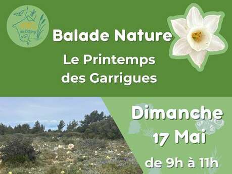 Balades Nature avec la Maison de l'Etang
