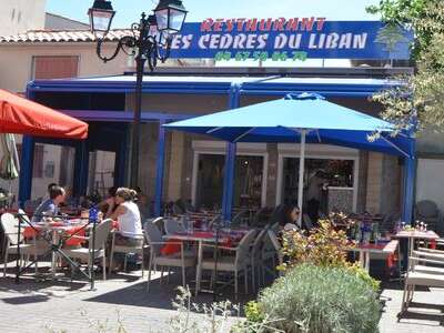 CÈDRES DU LIBAN (LES)