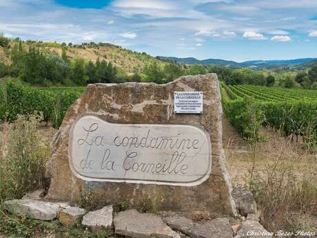 CHEMIN DE CABANES-5KM
